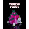 Turtle Fruit