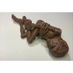 Lord Voldemort (foetus )