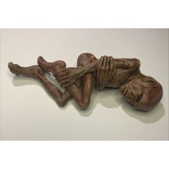 Lord Voldemort (foetus )