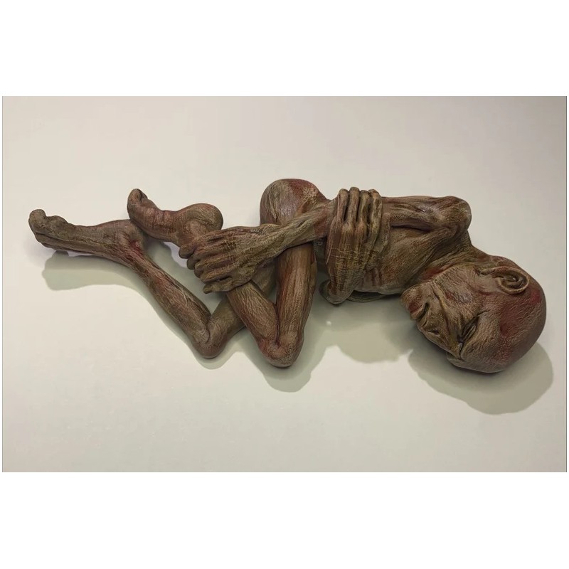 Lord Voldemort (foetus )