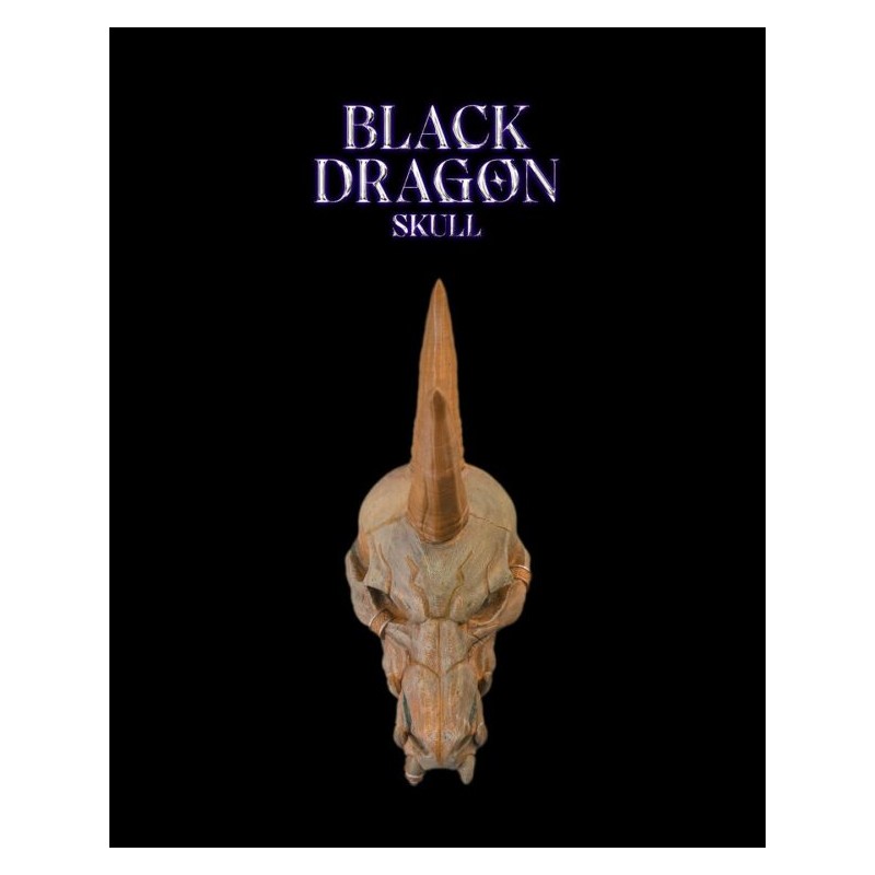 Black Dragon Skull