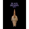 Black Dragon Skull