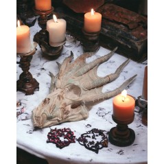 Blue Dragon Skull