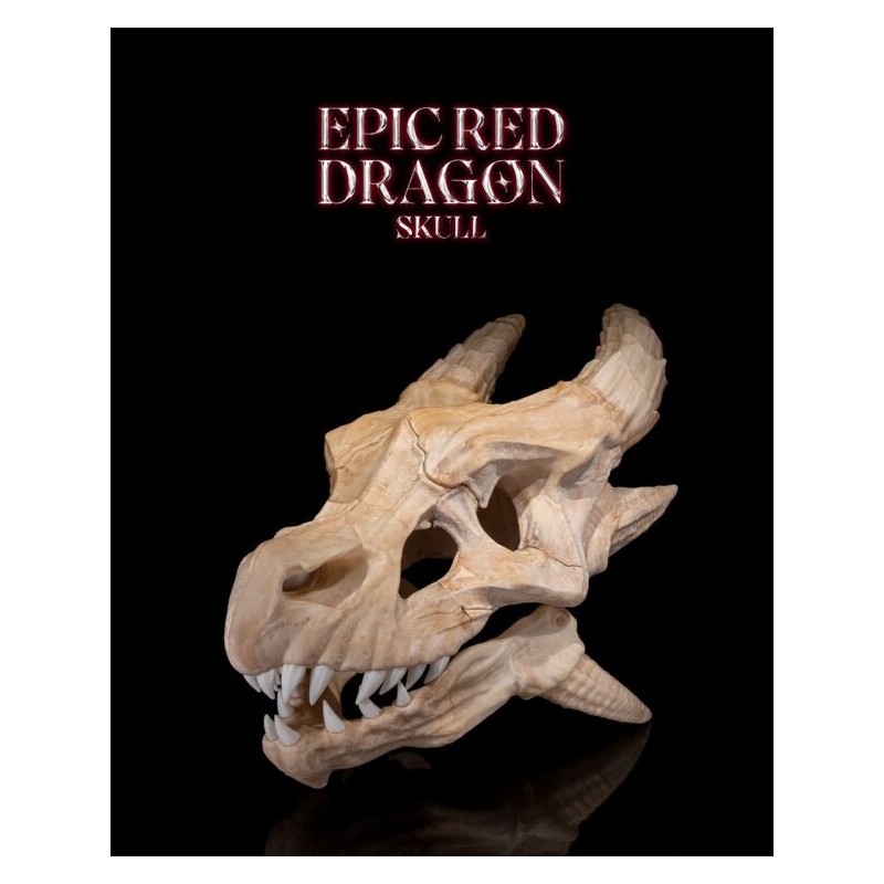 Epic Red Dragon Skull