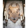 Epic Red Dragon Skull
