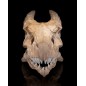 Epic Red Dragon Skull
