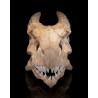 Epic Red Dragon Skull