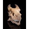 Epic Red Dragon Skull
