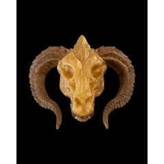 Gold Dragon Skull