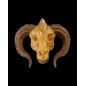 Gold Dragon Skull