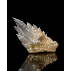 Diamond Dragon Skull