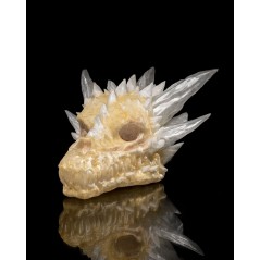Diamond Dragon Skull
