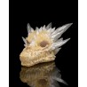 Diamond Dragon Skull