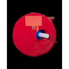 Ancient Misty Dragon