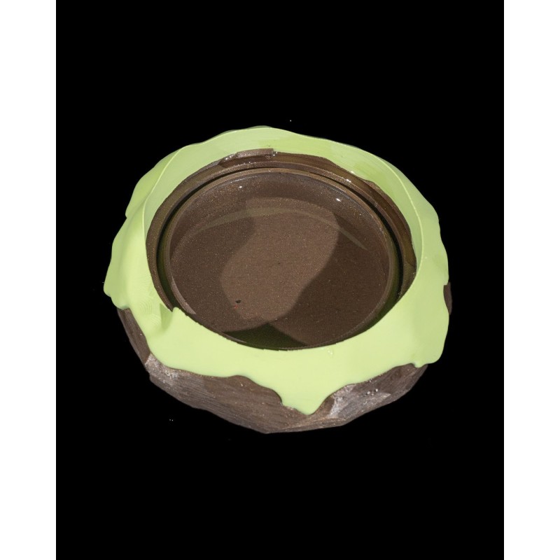 Steamy Dragon Hatchling