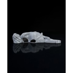 Dream Fairy Wall Light