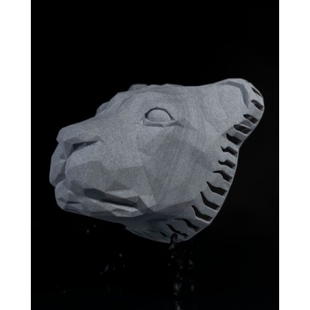 Great Lion Wall Light