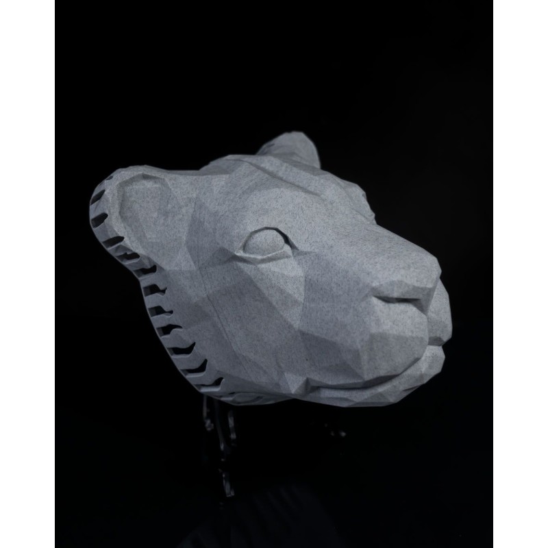 Great Lion Wall Light