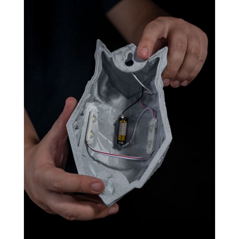 Night Owl Wall Light