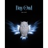 Day Owl Wall Light