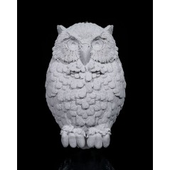 Day Owl Wall Light