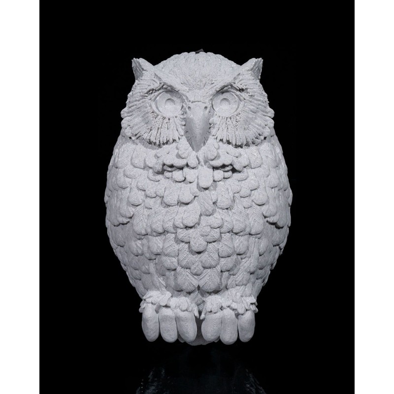 Day Owl Wall Light
