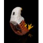 Realistic Eagle Wall Light