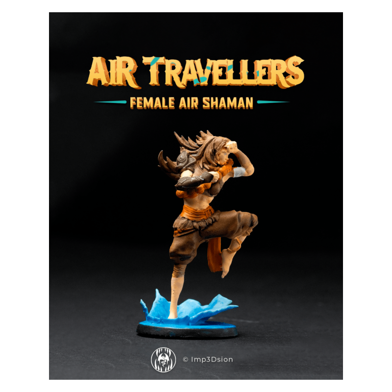 Female Air Shaman Female Air Shaman