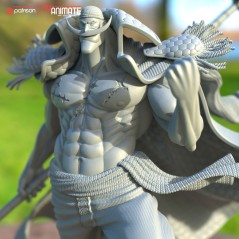 Barbe blanche One Piece