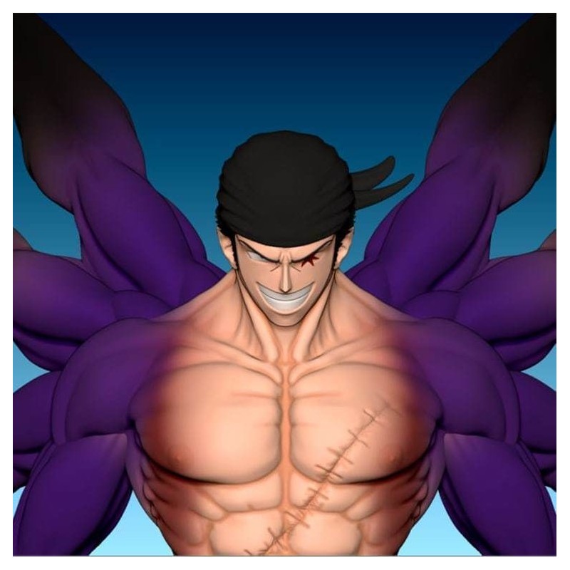 Zoro One pieces (8 bras)