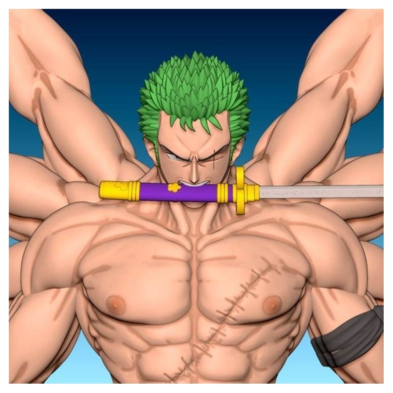 Zoro One pieces (8 bras)