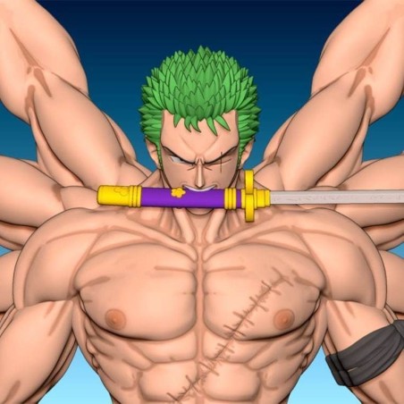 Zoro One pieces (8 bras)