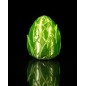 Dragon Egg - Leaf