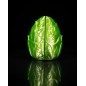 Dragon Egg - Leaf